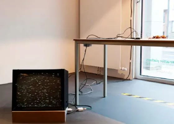 re-active platform - 5