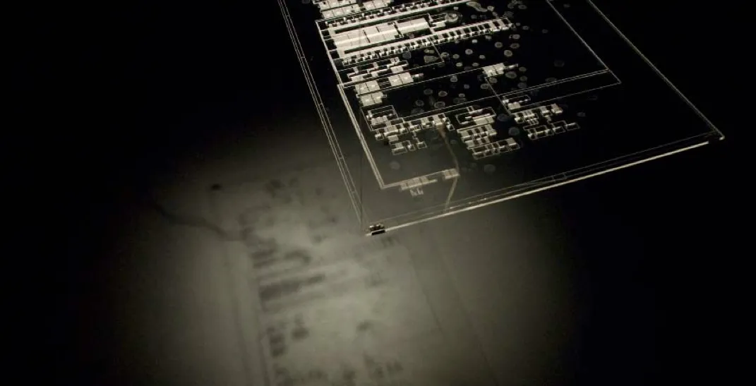 re-active platform — 7