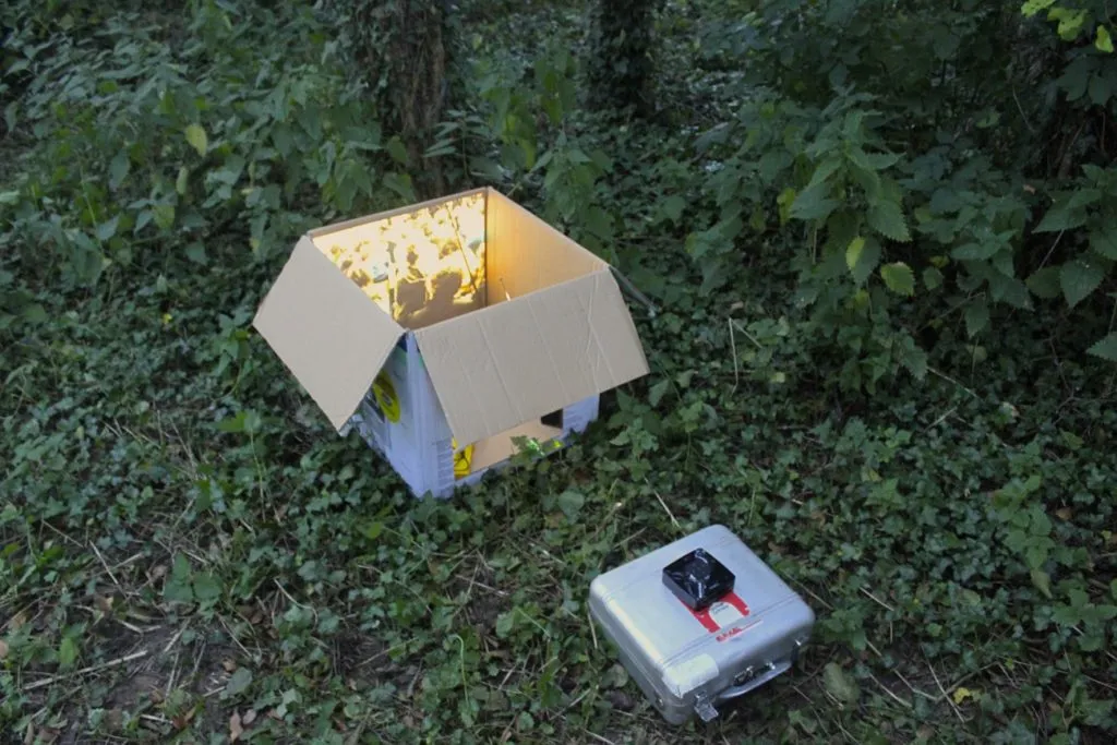 verité/endere Räume - 2