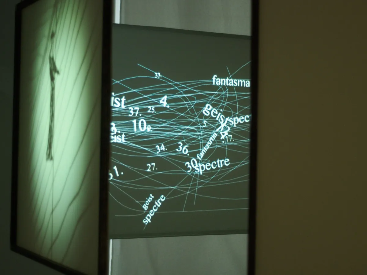 De Umbris Idearum at Museum of ZKM - 5