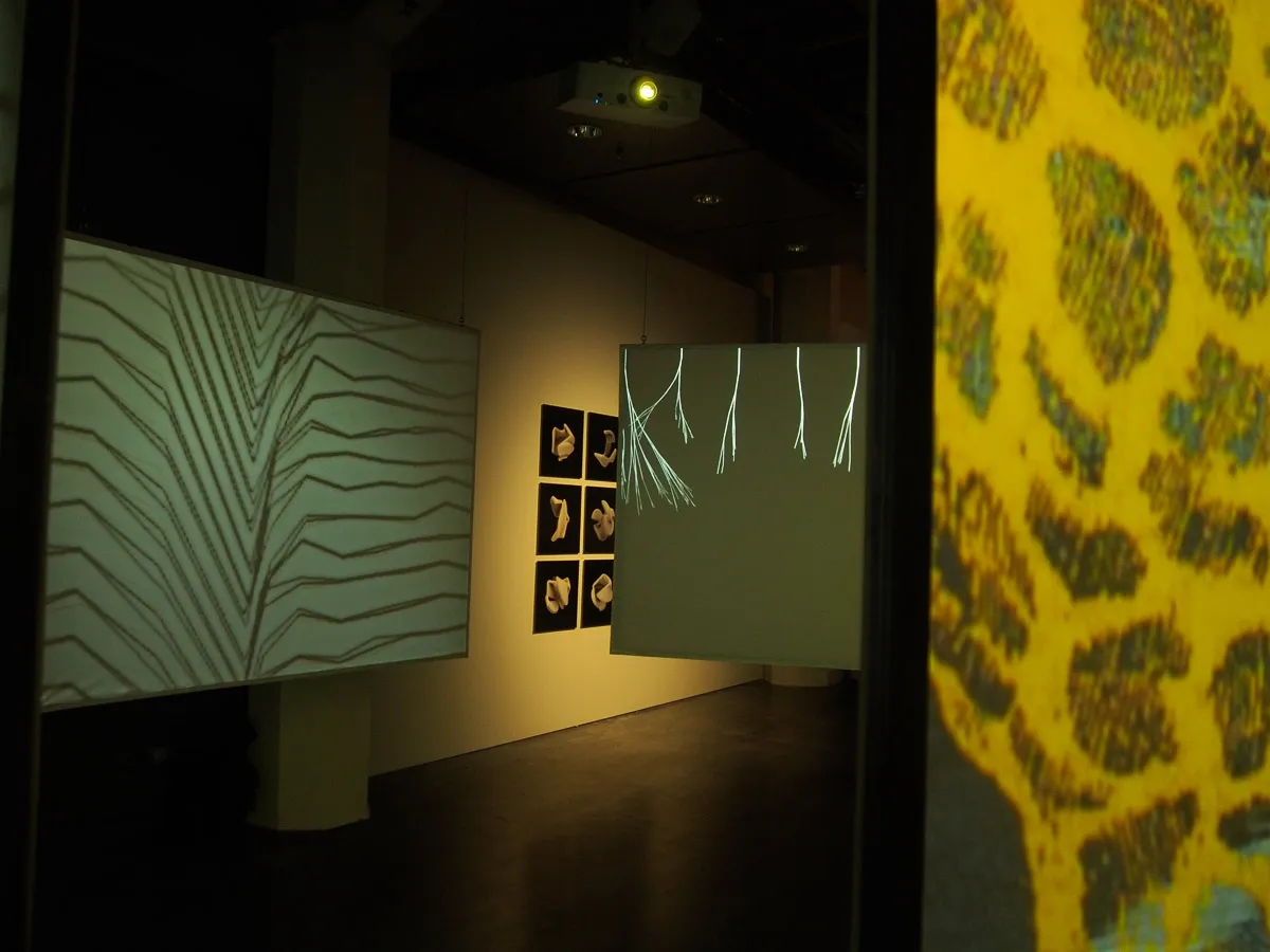 De Umbris Idearum at Museum of ZKM — 13