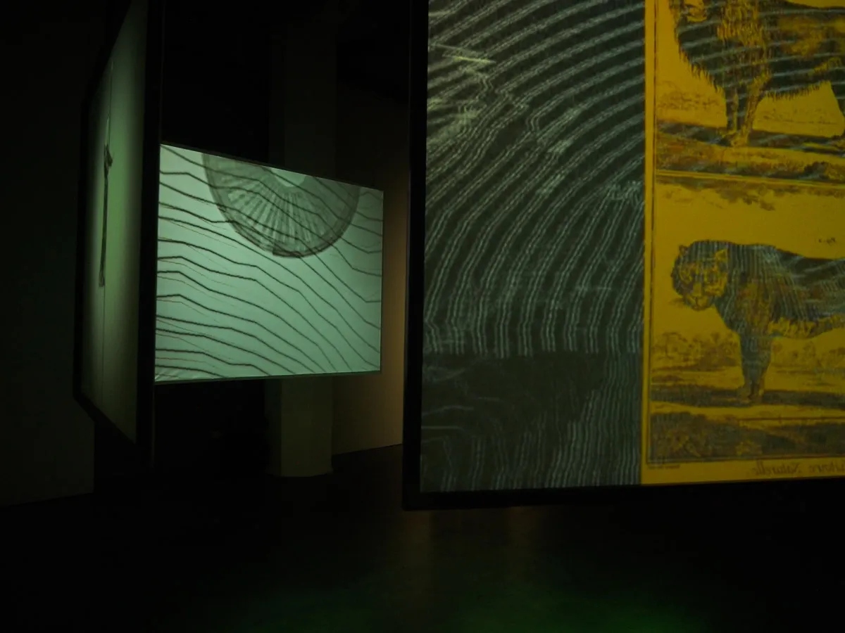 De Umbris Idearum at Museum of ZKM — 16