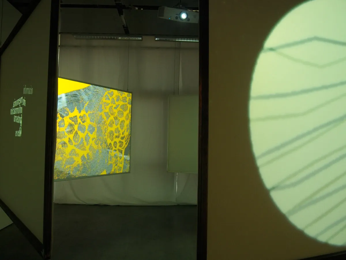 De Umbris Idearum at Museum of ZKM — 21