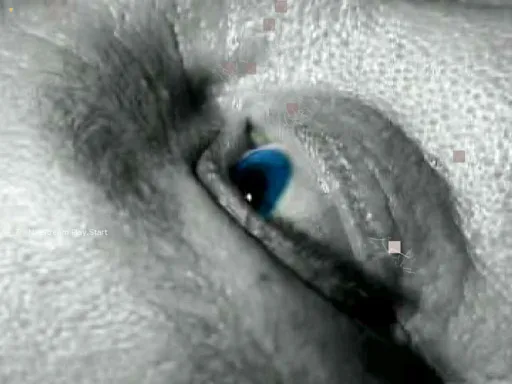 In Dreams Death Kingdom — 10