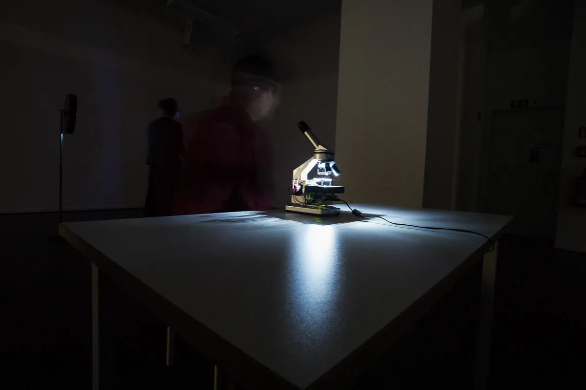 Film ohne Film Exhibition — 14