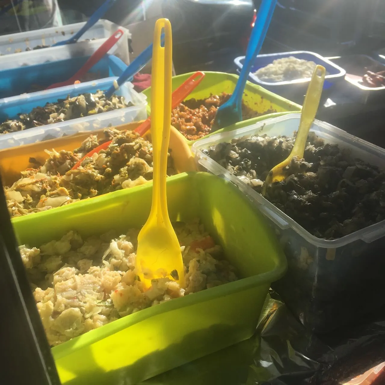 COCO Lipo in Mexiko - 2