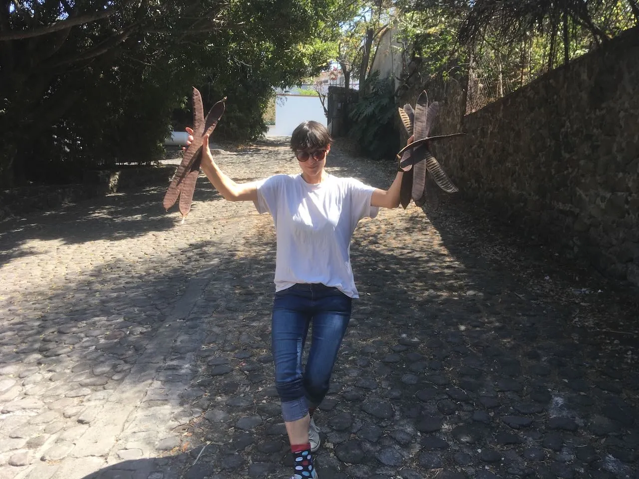 COCO Lipo in Mexiko — 9