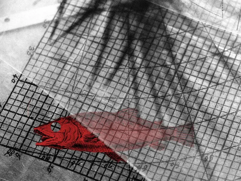 Protean Territories - 1