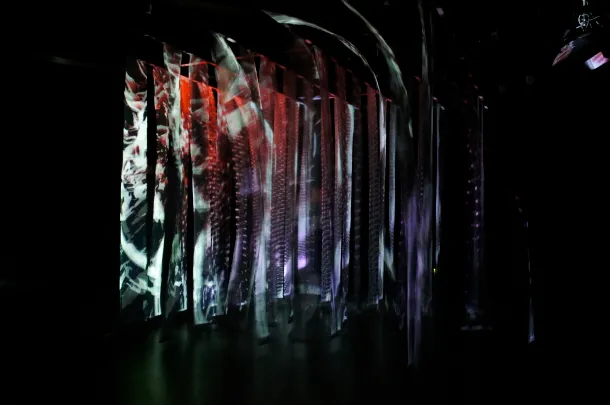 How Do You Know I Like Mushrooms? - 5