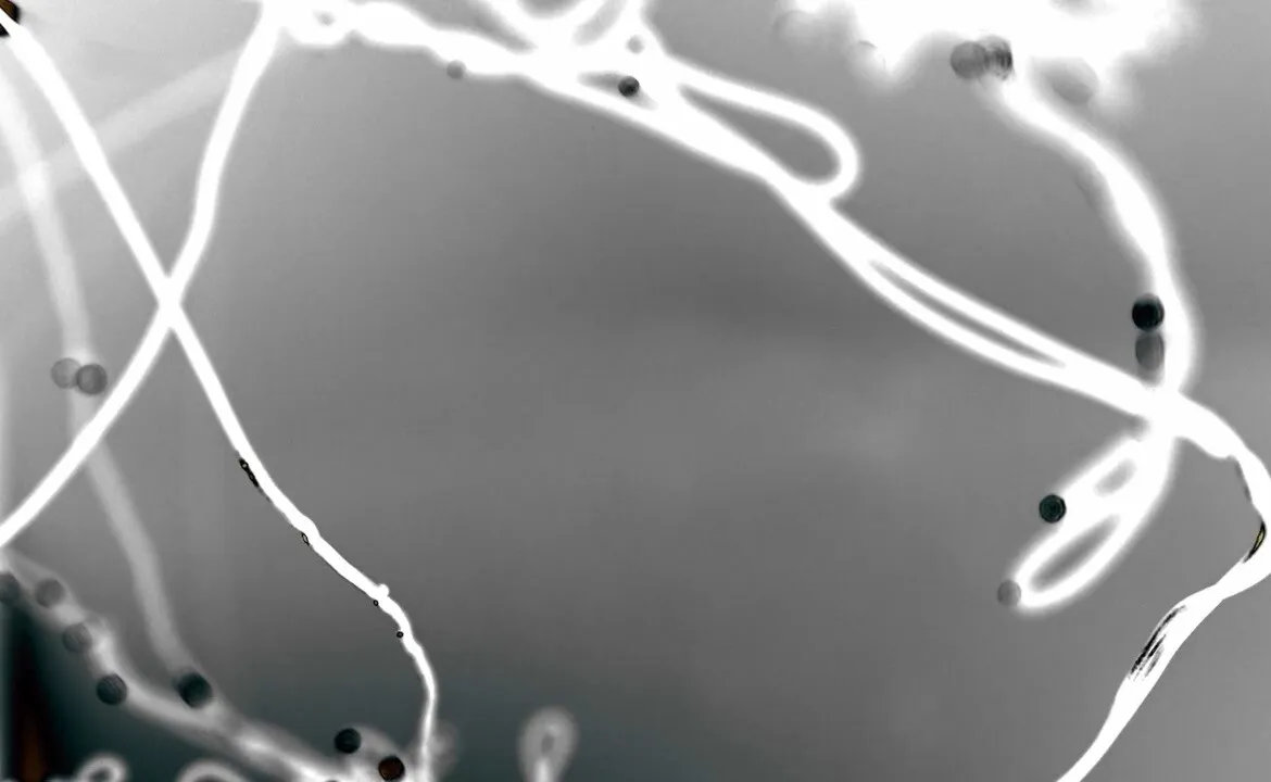 Strange object of observation - 1