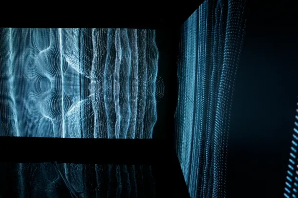 How Do You Know I Like Mushrooms? — 7