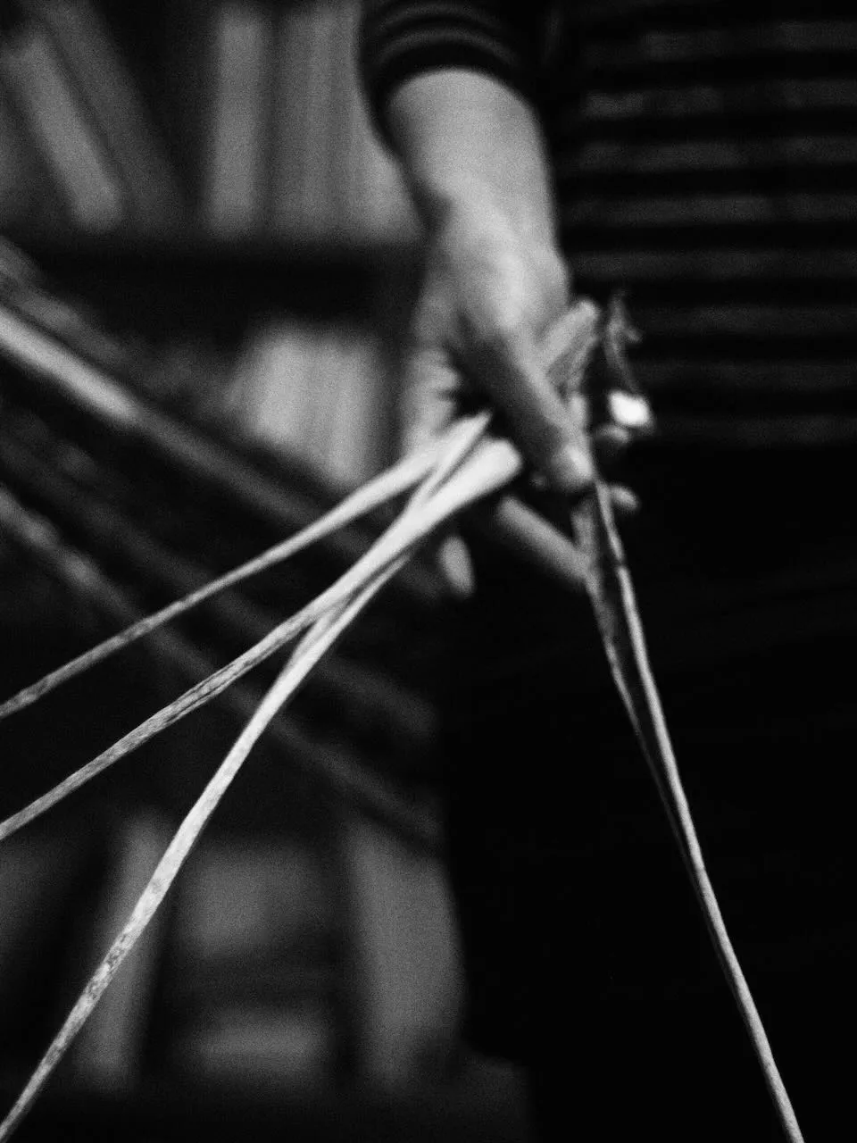 COCO Lipo in Mexiko — 18