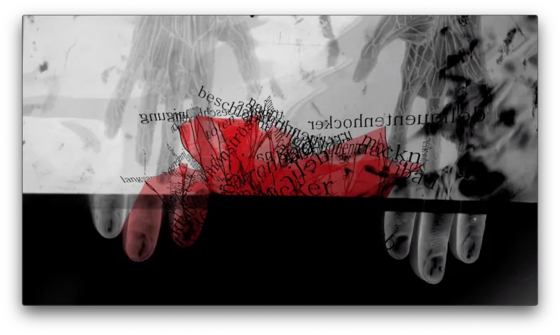 Live Cinema at Raketenstation - Insel Hombroich on german poet Thomas Kling — 7