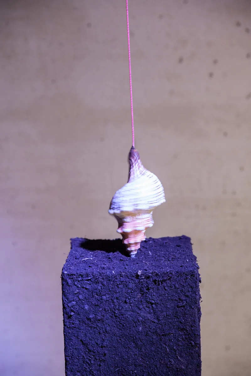 völlig Utopisch — 15