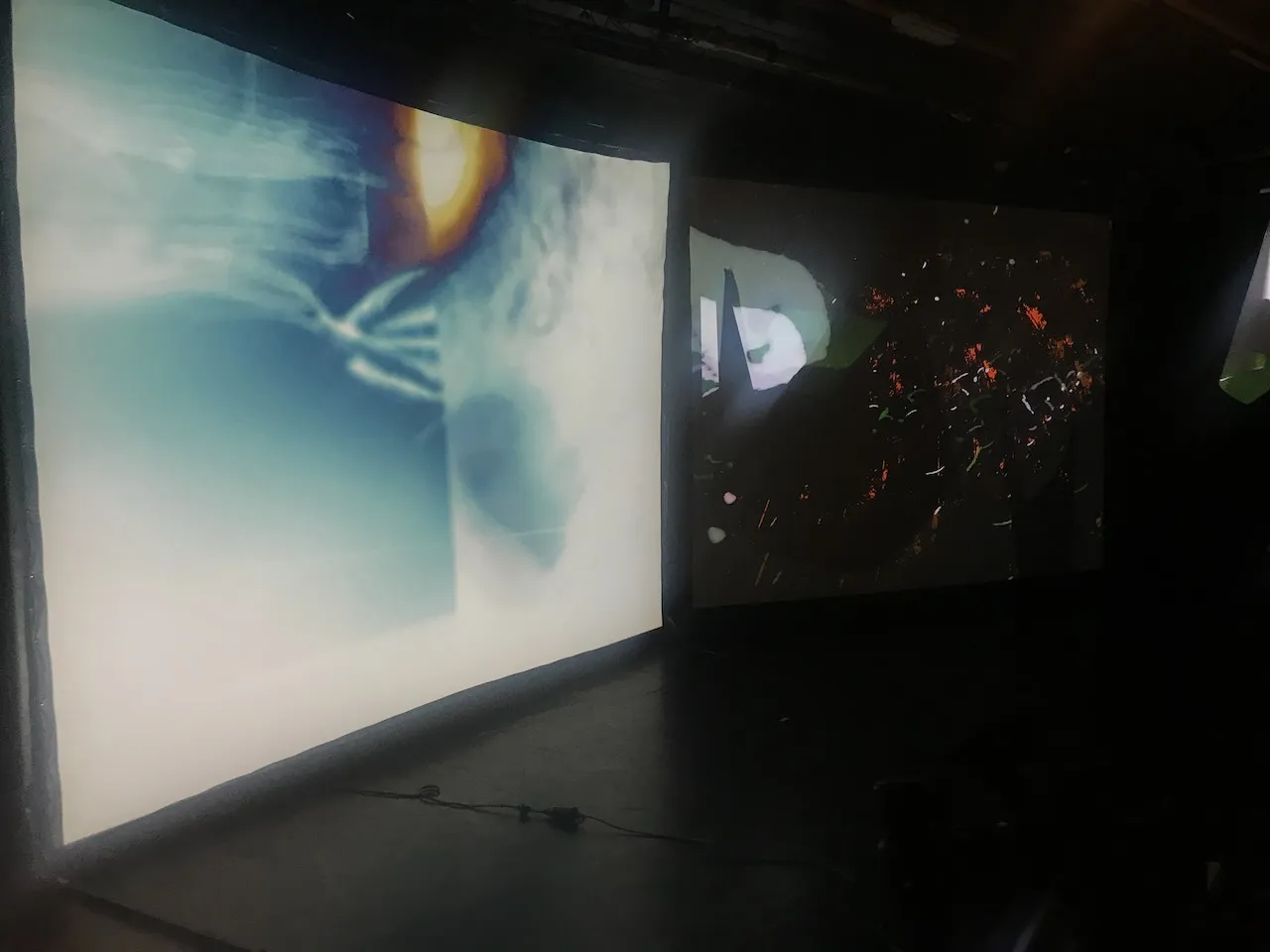 Honey Bunny - Hommage to Joseph Beuys - 1