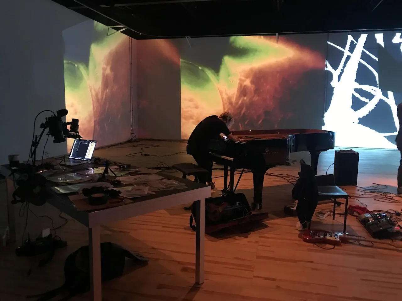 Honey Bunny - Hommage to Joseph Beuys - 2