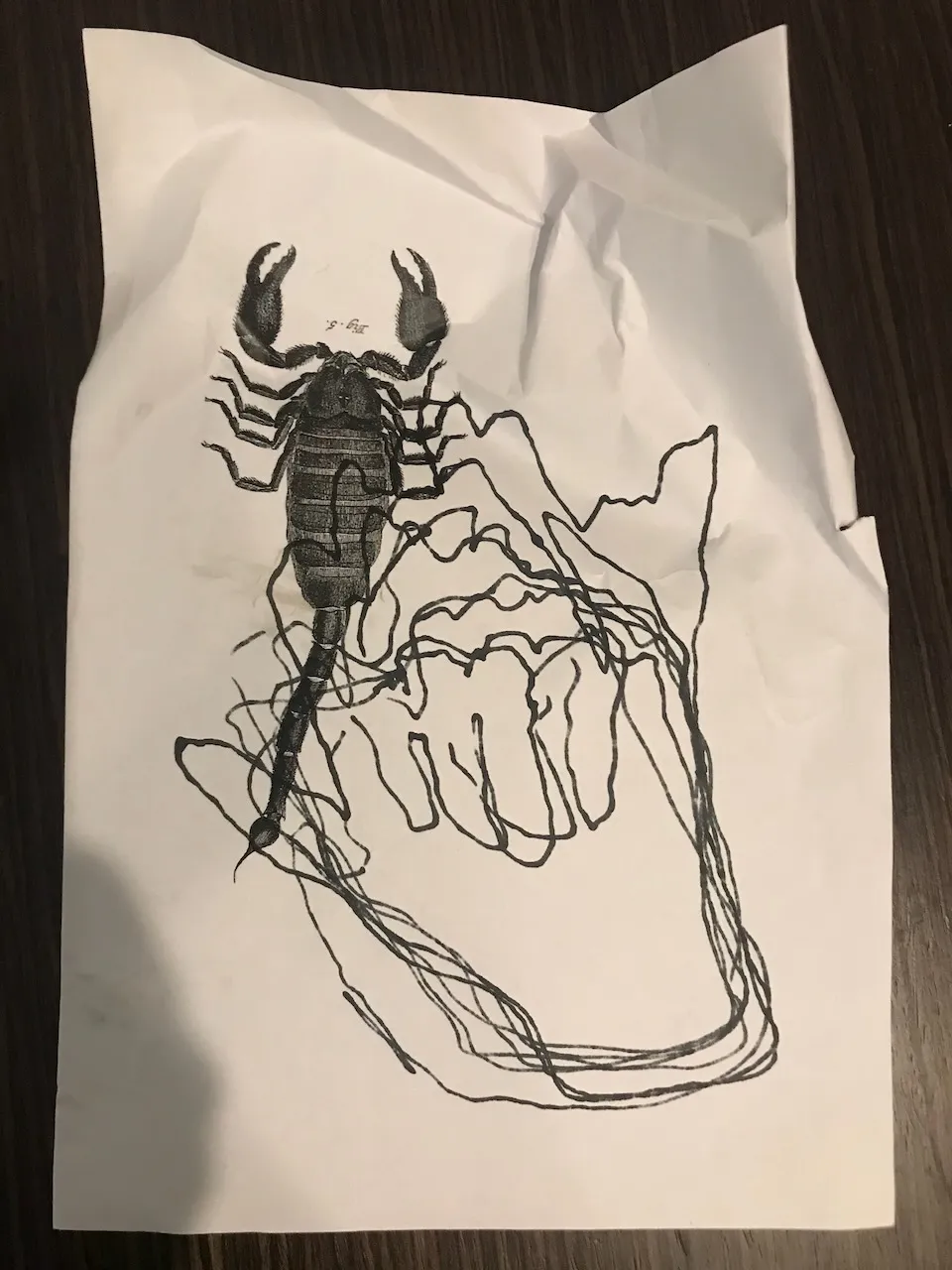 Honey Bunny - Hommage to Joseph Beuys - 4