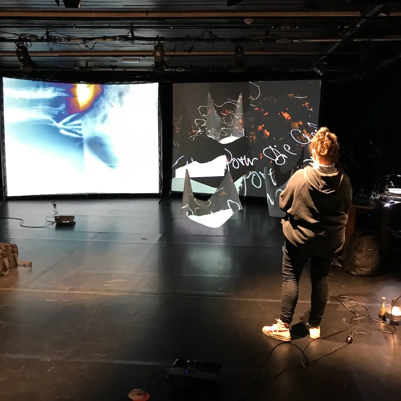 Honey Bunny - Hommage to Joseph Beuys — 6