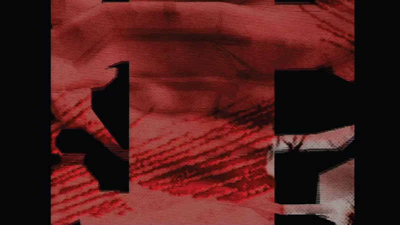 Tientos y Lucientes — 14