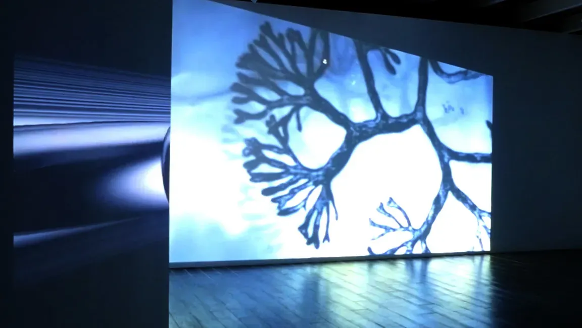 Live Cinema Session with Unstumm in Malaysia — 8