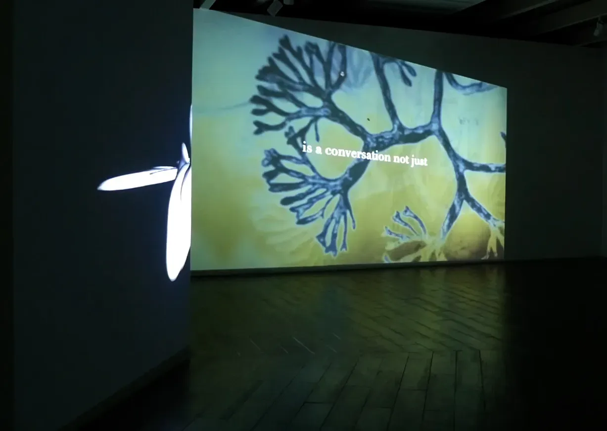 Live Cinema Session with Unstumm in Malaysia — 9