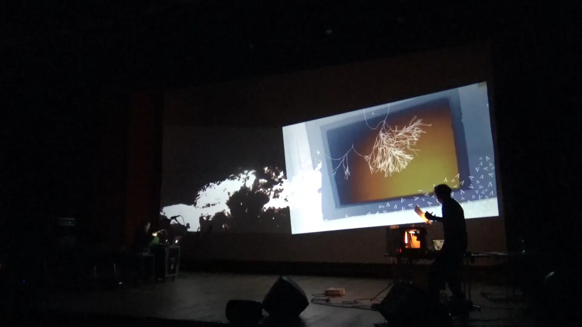 Live-Cinema Sessions with Unstumm Colombia  / Argentina Tour — 35