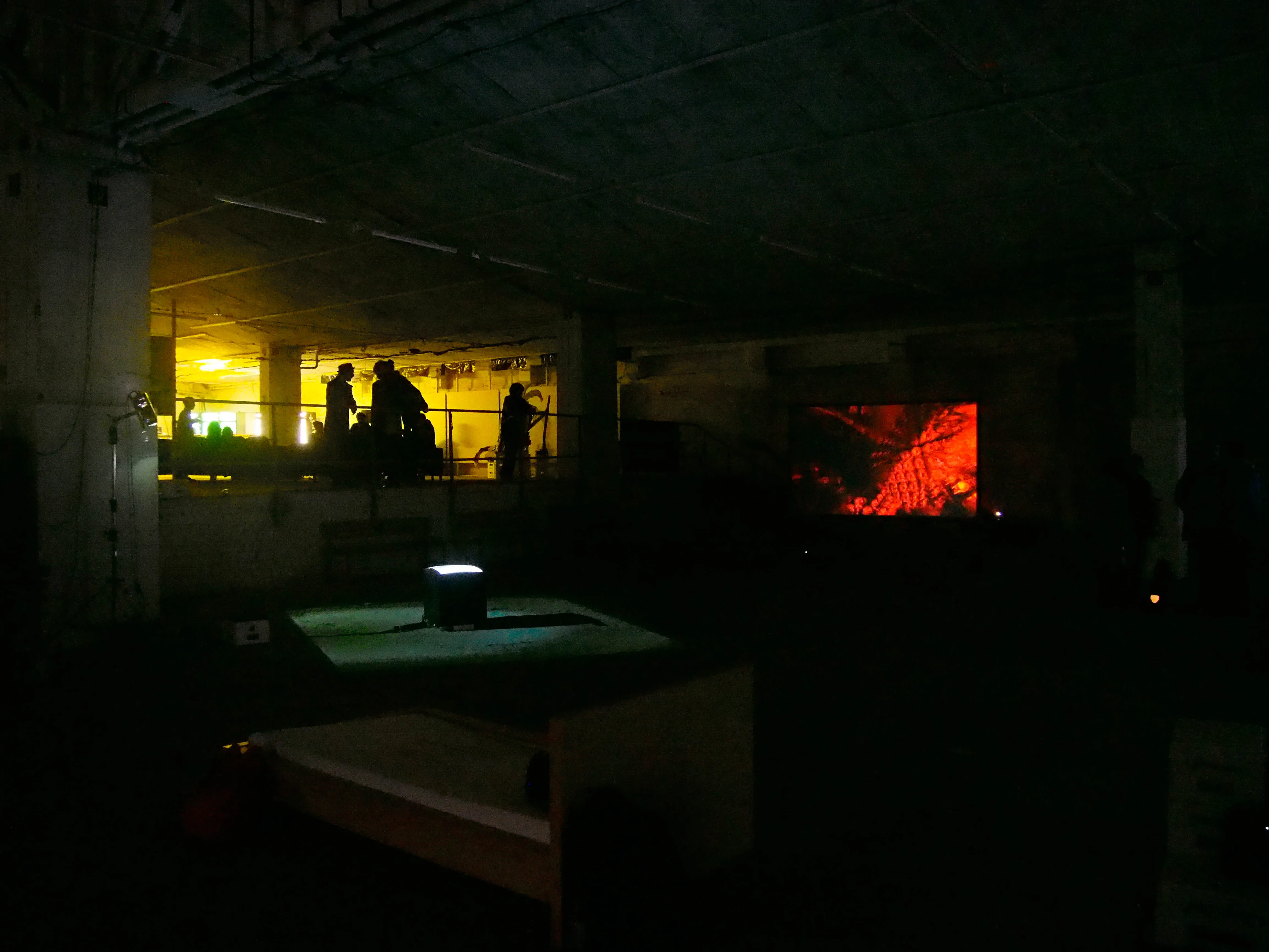 VIDEOKUNST / EXPANDED VIDEO — 8