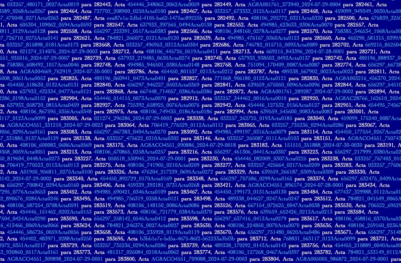 Sample PDF output showing electoral data format