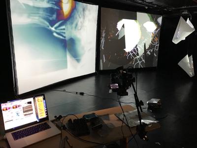 Honey Bunny - Hommage to Joseph Beuys - 5